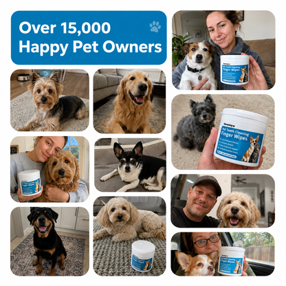 Vereney™ Plaque Control Wipes