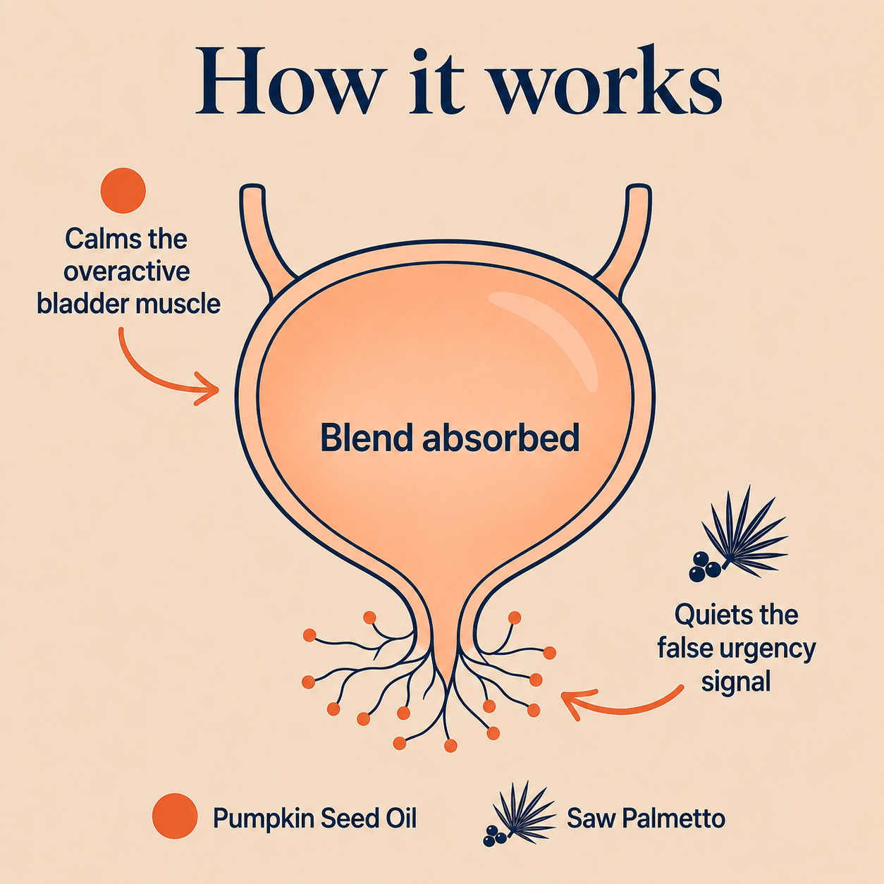 Vereney - Bladder Relief [Cold Pressed Virgin Pumpkin Seed Oil with Saw Palmetto]
